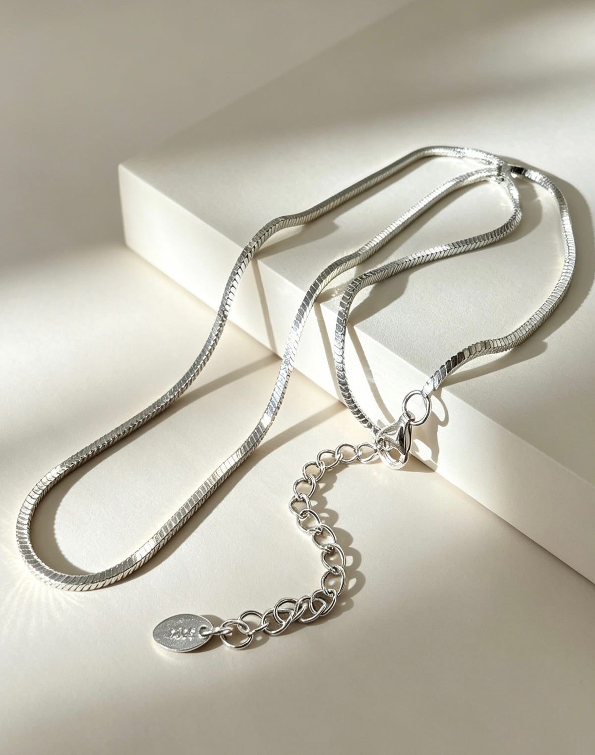 Basic Snake Necklace 基礎蛇骨項鍊